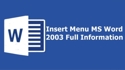 Insert Menu in Microsoft Word 2003