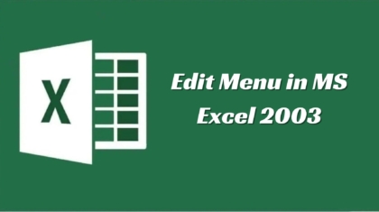 Edit Menu in MS Excel 2003