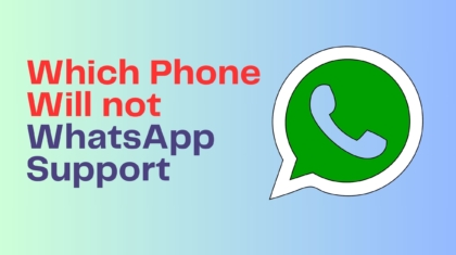 WhatsApp support