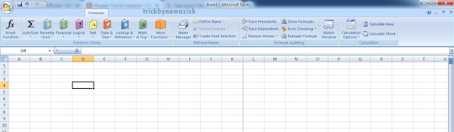 Formula Tab in Microsoft Excel 2007